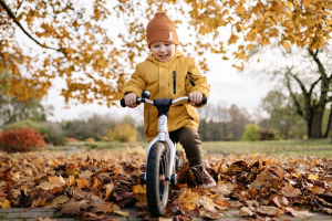 Slim Vergelijken voor een Actieve Start: Ontdek de loopfiets 2 jaar 